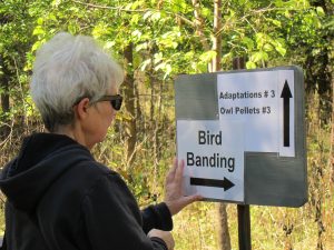 Volunteer Jan Mees helps set up signs for Band With Nature at CANS; no one got lost.