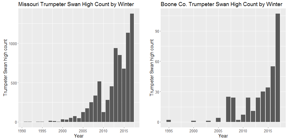 Plots show overall increase of Trumpeter Swan numbers in Missouri and Boone County from the 1990s through present. 